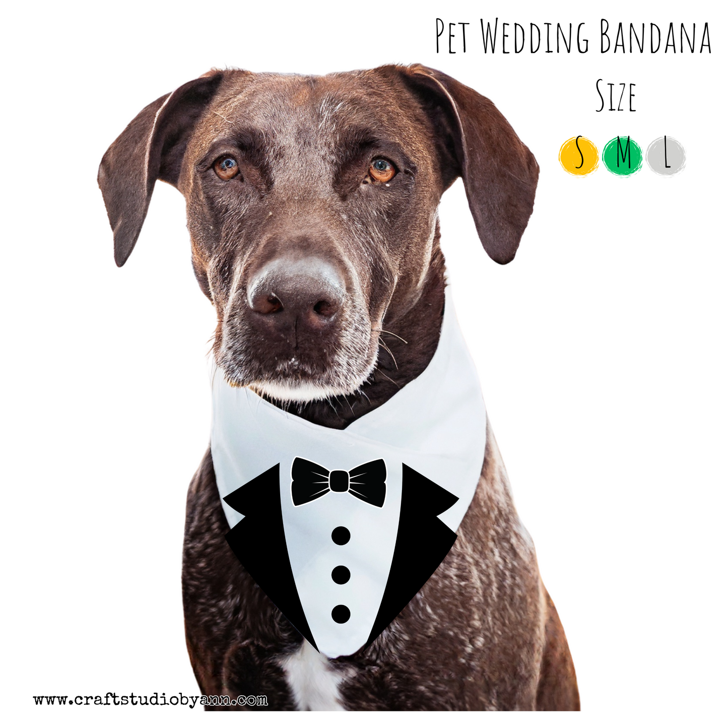 Pet Wedding Bandana